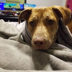 Meet your Posher, Nicholas